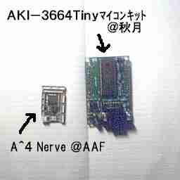 A^4 Nerve AKI-H8 Tiny